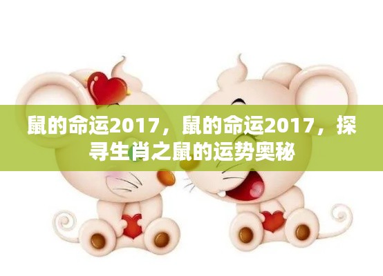 探寻生肖鼠在2017年的运势奥秘,命运展望与运势探寻