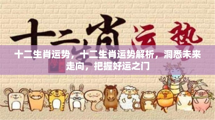 十二生肖运势深度解析,洞悉未来,把握好运之门