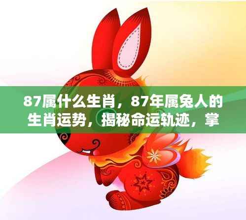 揭秘生肖运势,揭秘命运轨迹,掌握人生方向——属兔人的生肖运势分析(针对出生于1987年)