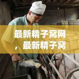 最新精子窝网运势分析与星座力量,洞悉未来,掌握命运之舵