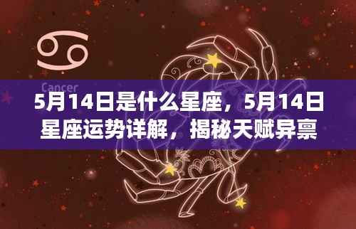 5月14日星座运势揭秘,天赋异禀的魅力与运势详解