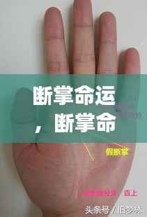 揭秘断掌命运,手相特殊纹路与人生轨迹交汇点探索