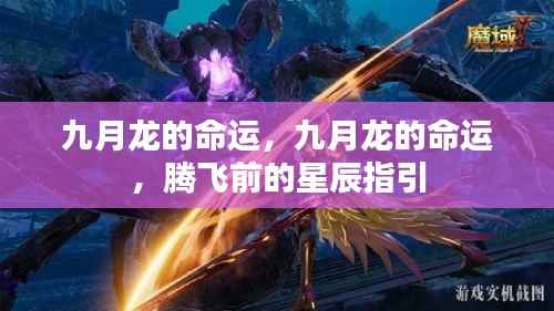 九月龙的命运,星辰指引下的腾飞之路