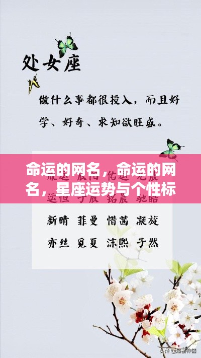 星座运势与个性标签融合,命运网名的巧妙探索