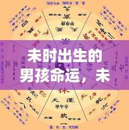 未时出生男孩命运及星座运势解析
