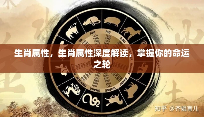 生肖属性,生肖属性深度解读,掌握你的命运之轮