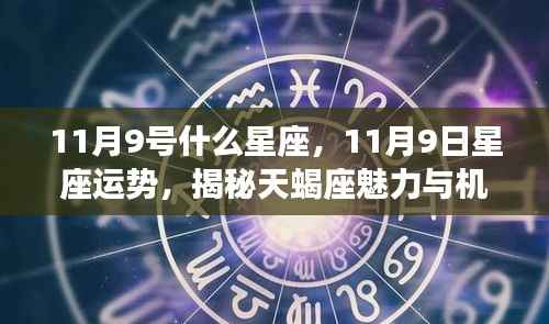 揭秘天蝎座，11月9日的星座运势与魅力机遇解析