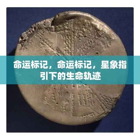 星象指引的生命轨迹,命运标记的探索