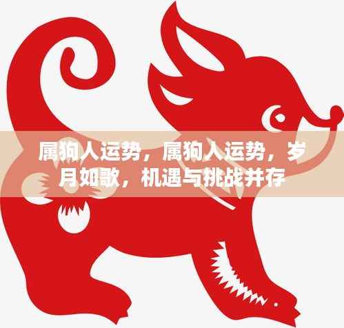 属狗人的岁月如歌,机遇与挑战并存的运势分析