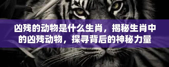 揭秘生肖中的凶残动物,探寻背后的神秘力量与神秘关联