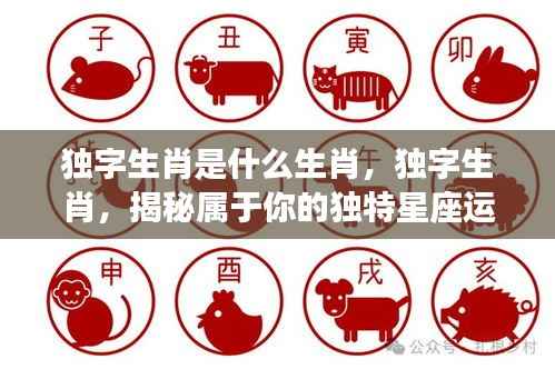 揭秘独字生肖，独特星座运势解析