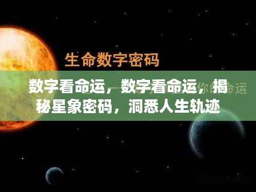 数字揭秘命运之谜,探寻星象密码,洞悉人生轨迹