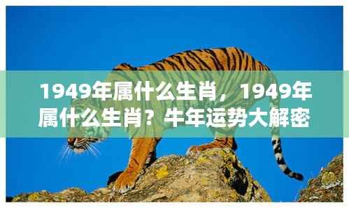 揭秘1949年属牛生肖运势,牛年运势大解密