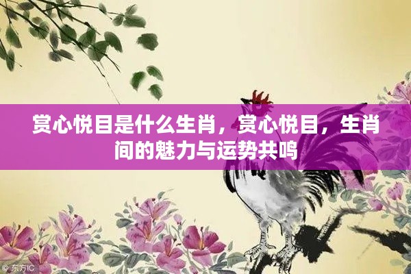 赏心悦目,生肖魅力与运势的共鸣
