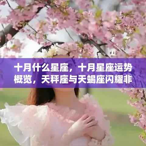 十月星座运势概览,天秤座与天蝎座的闪耀非凡