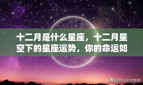 十二月星座运势解析,星空下的命运展望