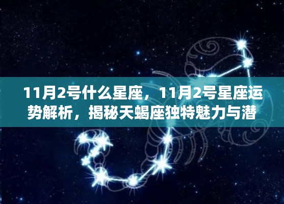 揭秘天蝎座,11月2日的星座运势与独特魅力及潜在机遇解析