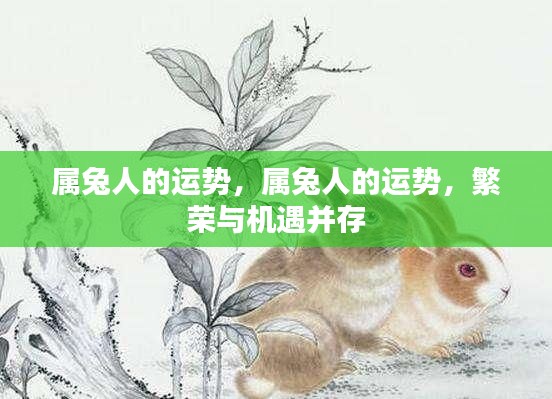 属兔人的繁荣与机遇并存,运势展望与机遇分析
