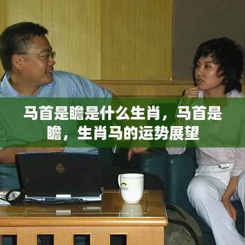 生肖马运势展望,瞻望未来,探寻马首运势之奥秘