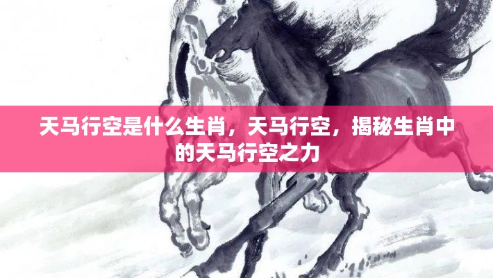 揭秘生肖天马行空的神秘力量,天马行空背后的生肖解读