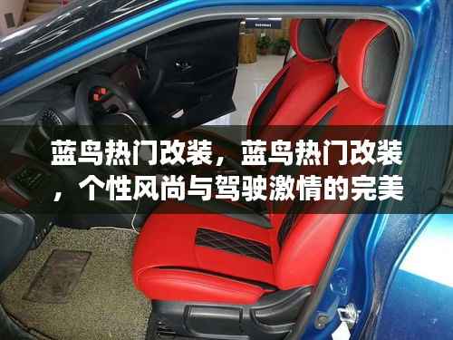 蓝鸟热门改装,个性风尚与驾驶激情的交融之选