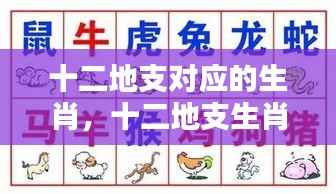 生肖运势解析,十二地支与生肖的神秘联系及天地运势奥秘探索