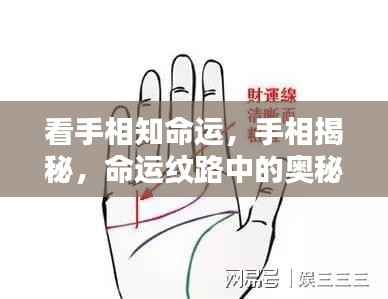 手相揭秘,命运纹路中的奥秘探索与奥秘探寻之路