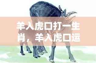 羊入虎口,生肖挑战与机遇解析及运势展望