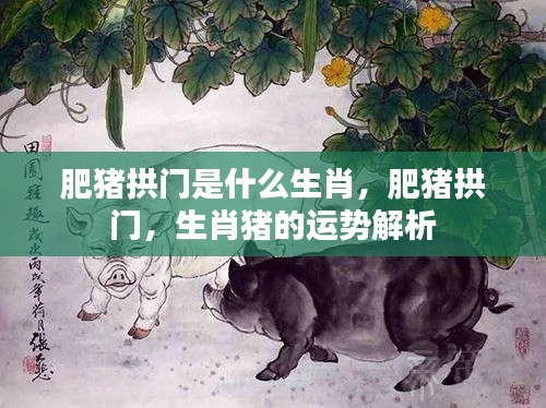 肥猪拱门生肖运势解析,猪的运势与生肖解读