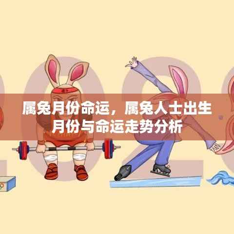 属兔人士出生月份与命运走势详解