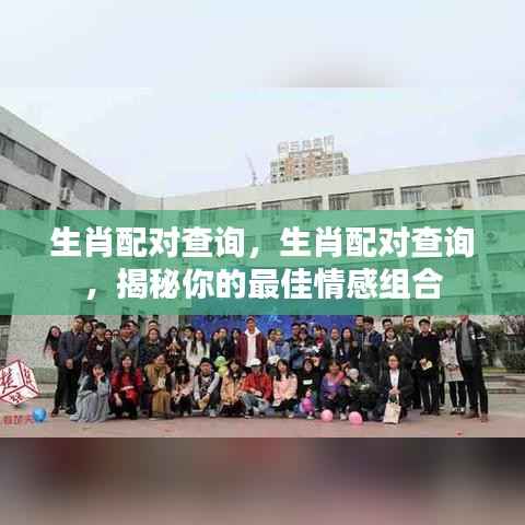 揭秘生肖配对,最佳情感组合查询!