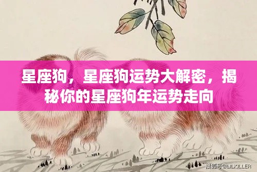 揭秘星座狗运势走向,掌握你的狗年运势大解密!