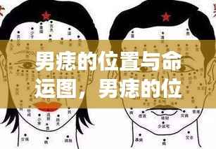 男痣位置揭秘,星座命运图里的神秘符号与运势解读
