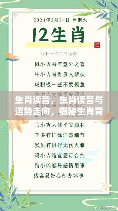 揭秘生肖读音与运势走向,探寻背后的神秘力量