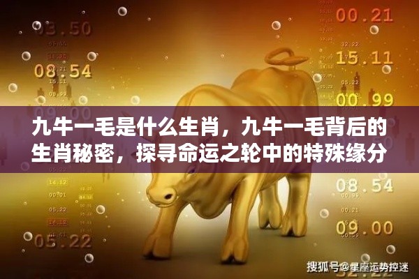 九牛一毛背后的生肖秘密,探寻命运之轮中的特殊缘分与生肖缘分解析