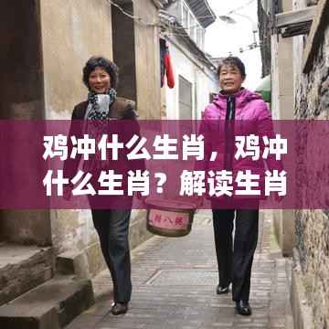 鸡冲哪些生肖?解读生肖相冲背后的深层含义与意义