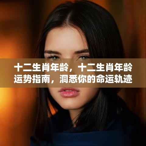 十二生肖年龄运势指南,洞悉命运轨迹,掌握人生起伏