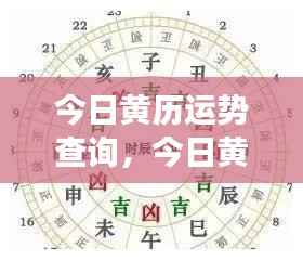 今日黄历运势大揭秘,洞悉你的星座走向