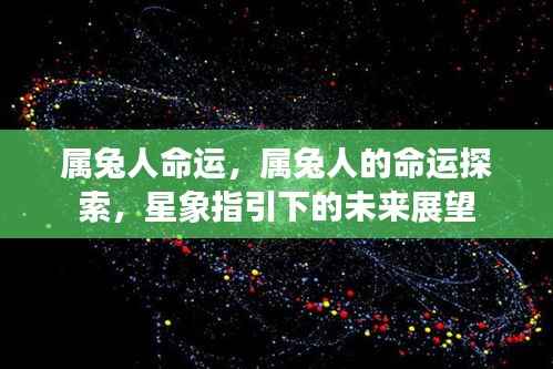 属兔人的命运探索与星象指引的未来展望