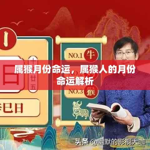 属猴人的月份命运解析,揭示不同月份的命运走向