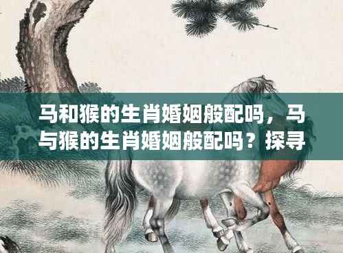 马与猴的生肖婚姻般配性探究,探寻生肖奥秘中的情感缘分