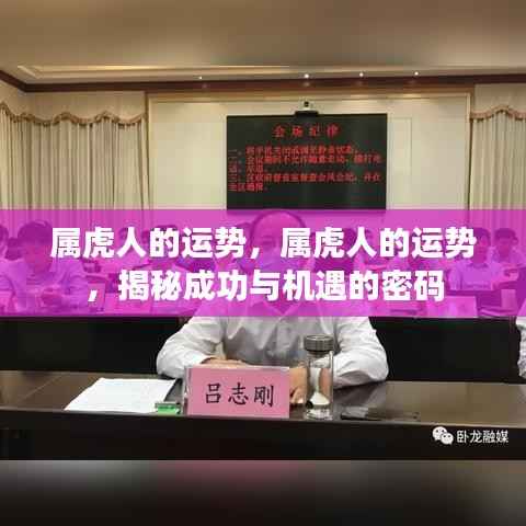 揭秘属虎人的成功与机遇密码,运势深度解析