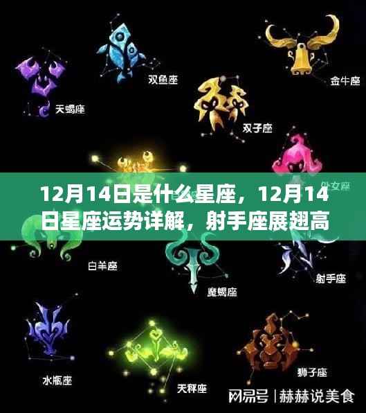 12月14日星座运势详解,射手座展翅高飞的日子