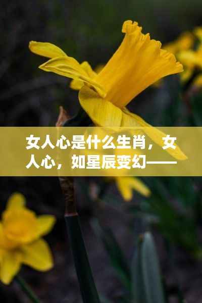 生肖视角下解读女性情感,如星辰变幻的女人心