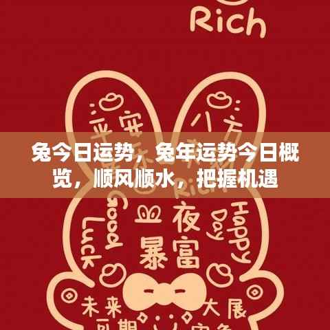 兔年今日运势概览，把握机遇，顺风顺水，迎接好运。