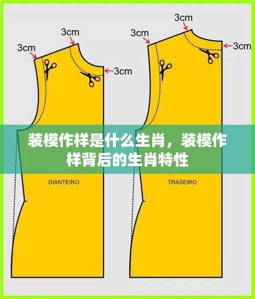 去就之分 第5页