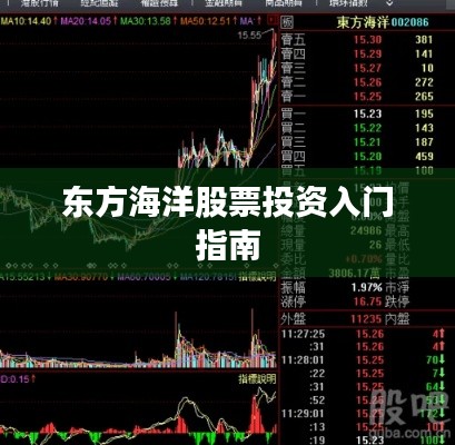 东方海洋股票投资入门指南