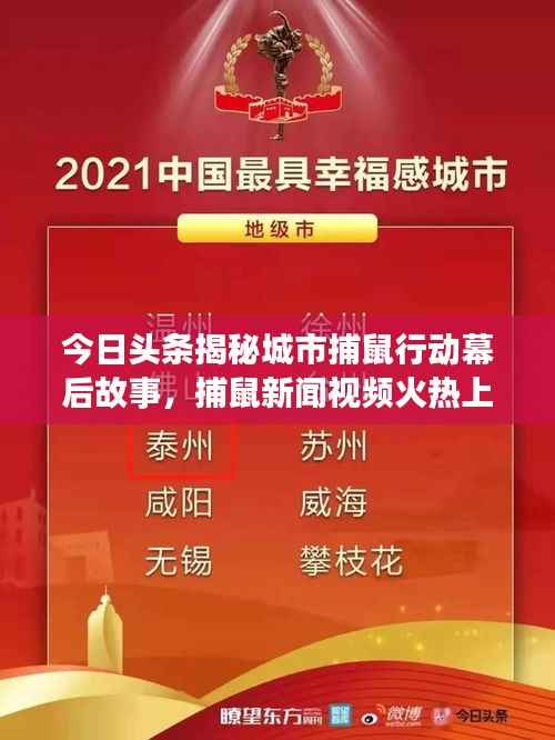 今日头条揭秘城市捕鼠行动幕后故事,捕鼠新闻视频火热上线!