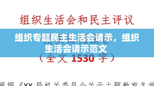 组织专题民主生活会请示,组织生活会请示范文