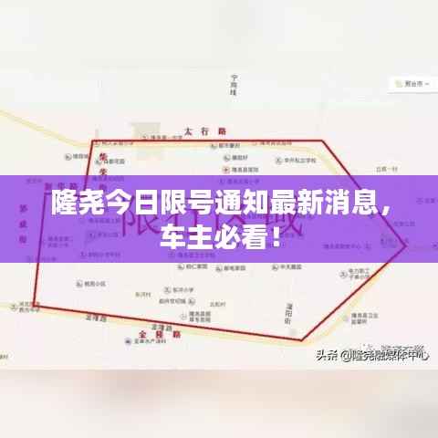 隆尧今日限号通知最新消息，车主必看！